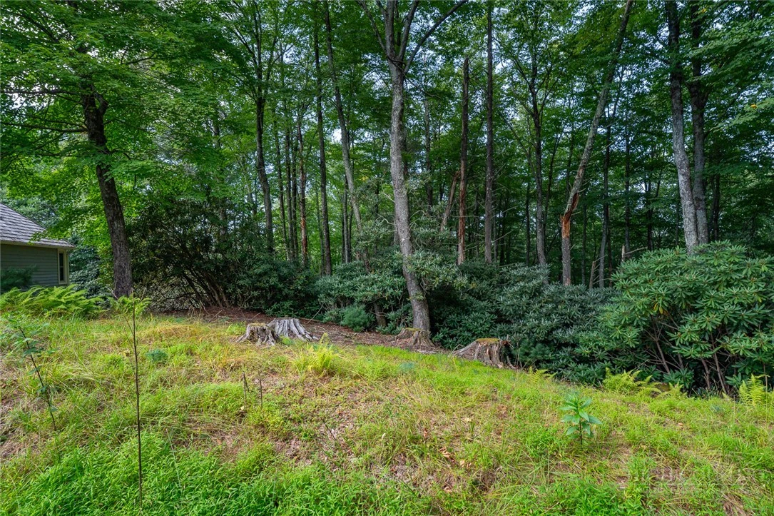 Image number 5 for the current listing