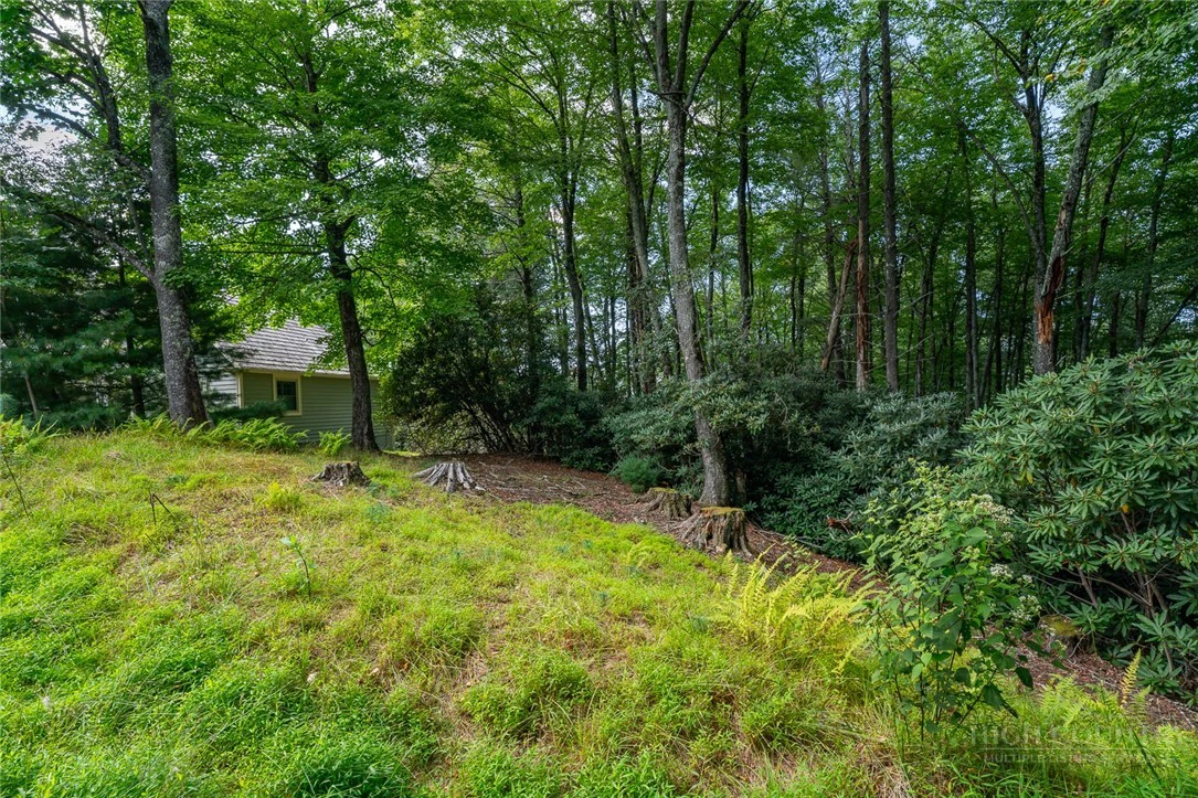 Image number 6 for the current listing