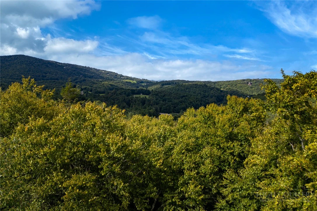 Image number 2 for the current listing