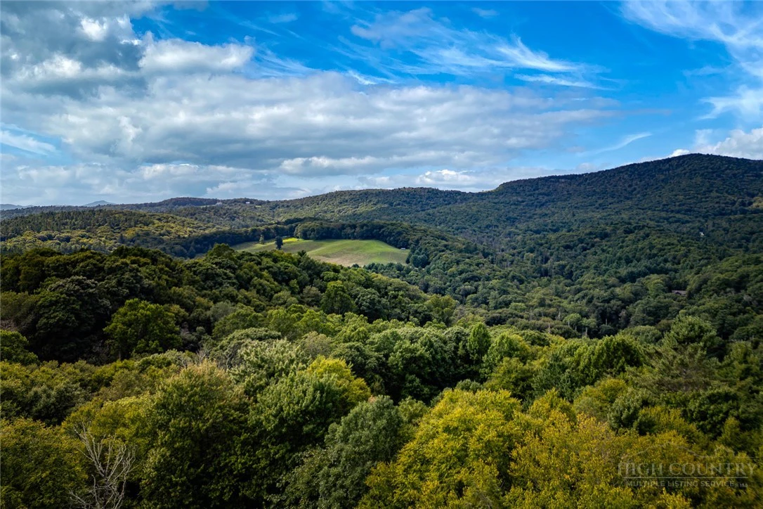 Image number 10 for the current listing