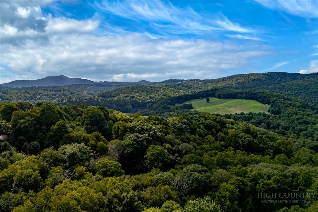 Image number 11 for the current listing
