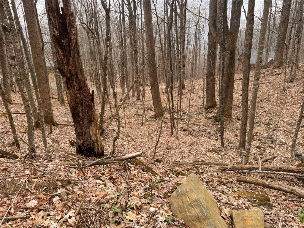 Image number 9 for the current listing