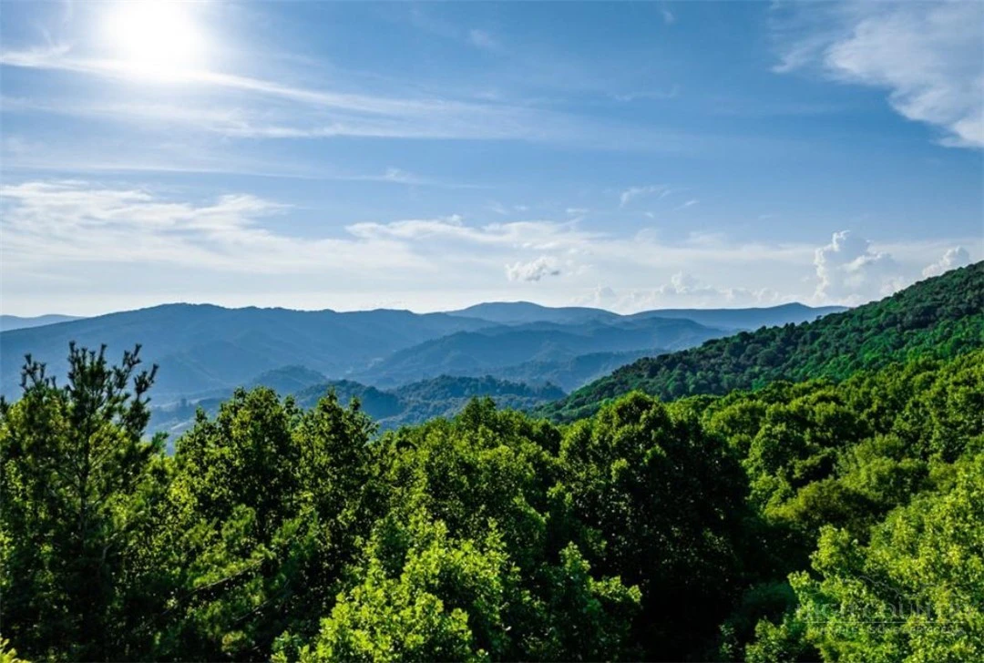 Image number 1 for the current listing
