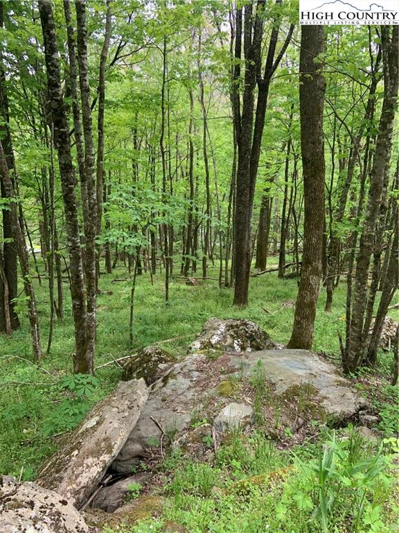 Image number 1 for the current listing