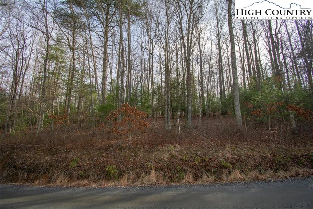 Image number 3 for the current listing