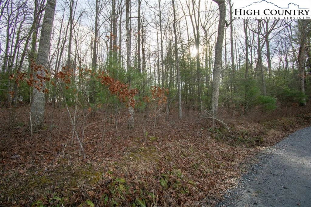 Image number 4 for the current listing