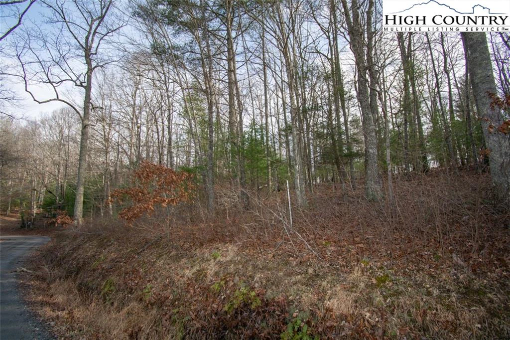 Image number 5 for the current listing