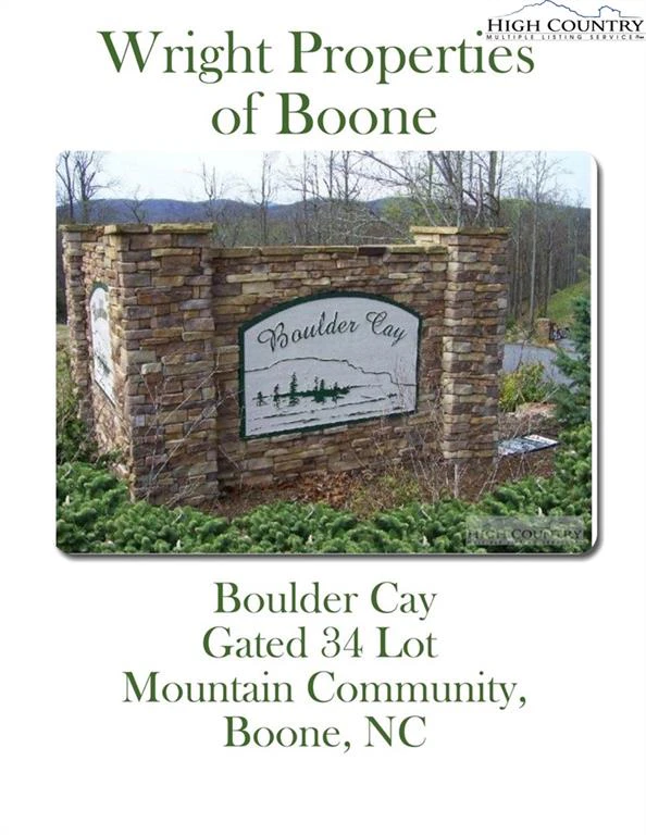 Image number 1 for the current listing