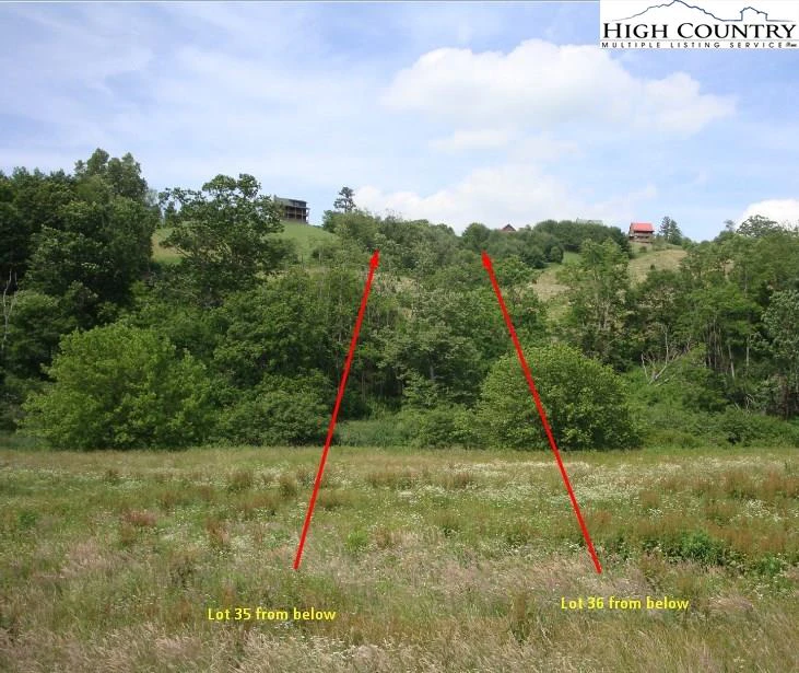 Image number 1 for the current listing