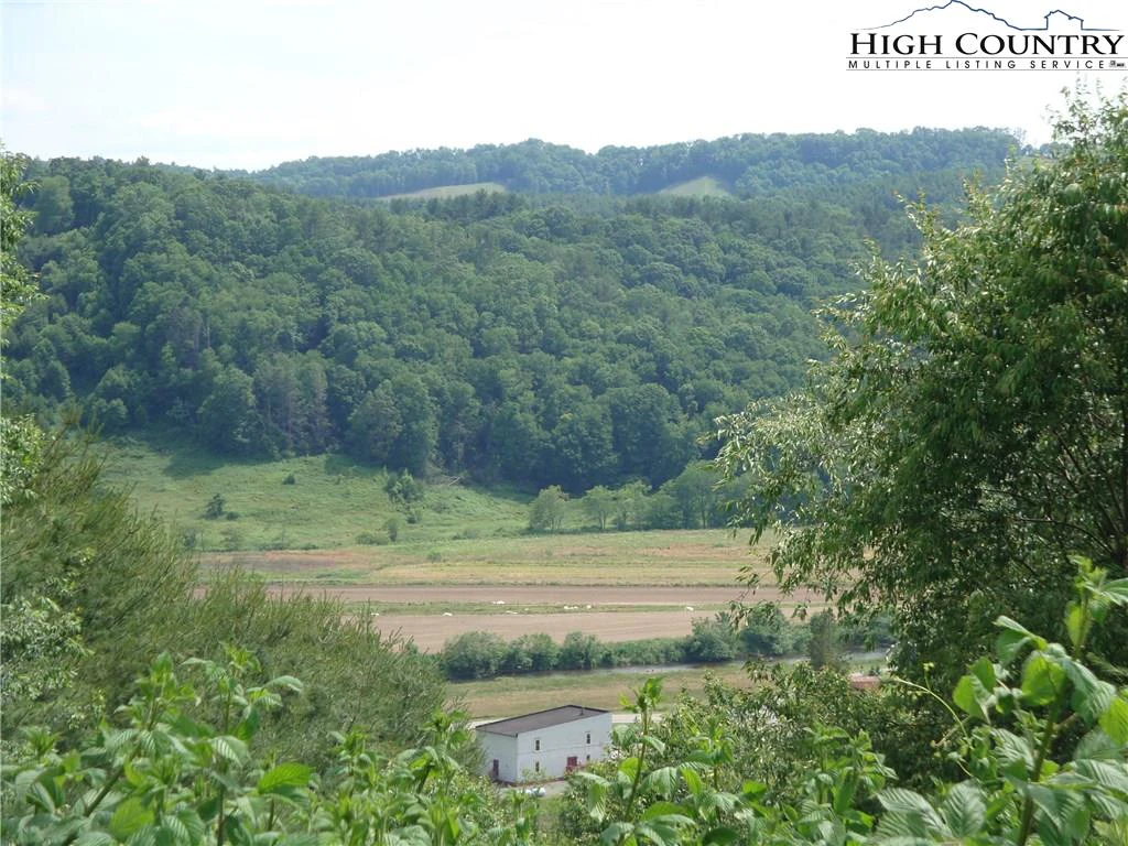 Image number 4 for the current listing