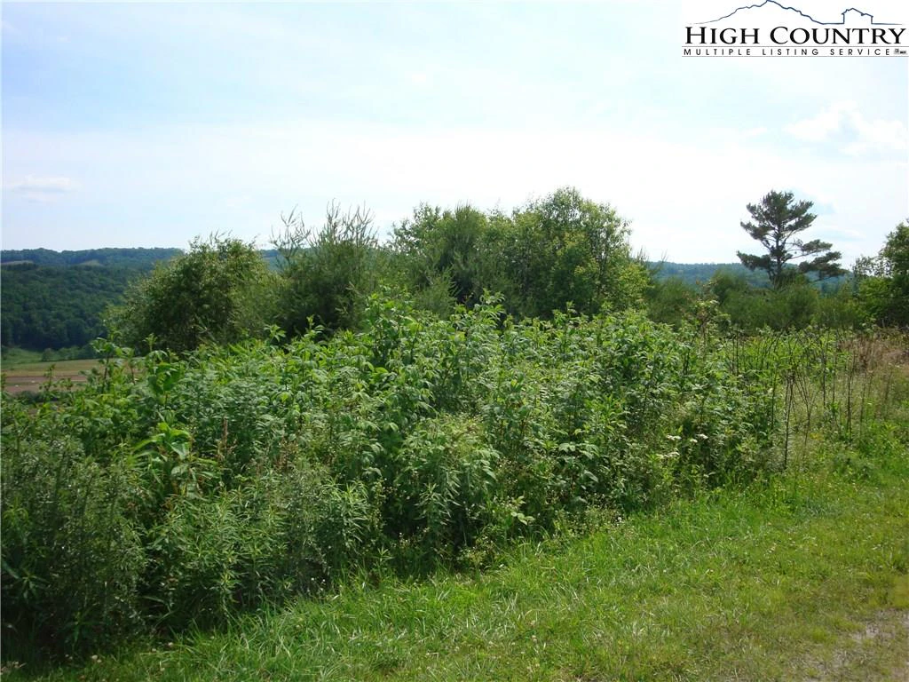 Image number 5 for the current listing