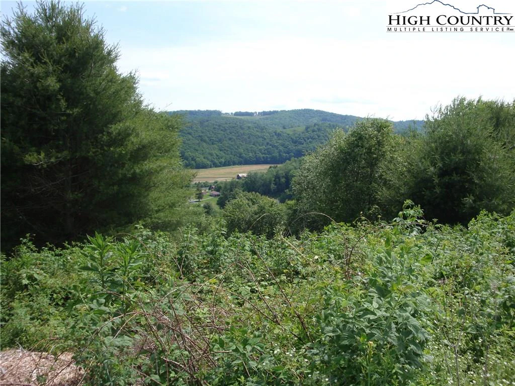 Image number 6 for the current listing