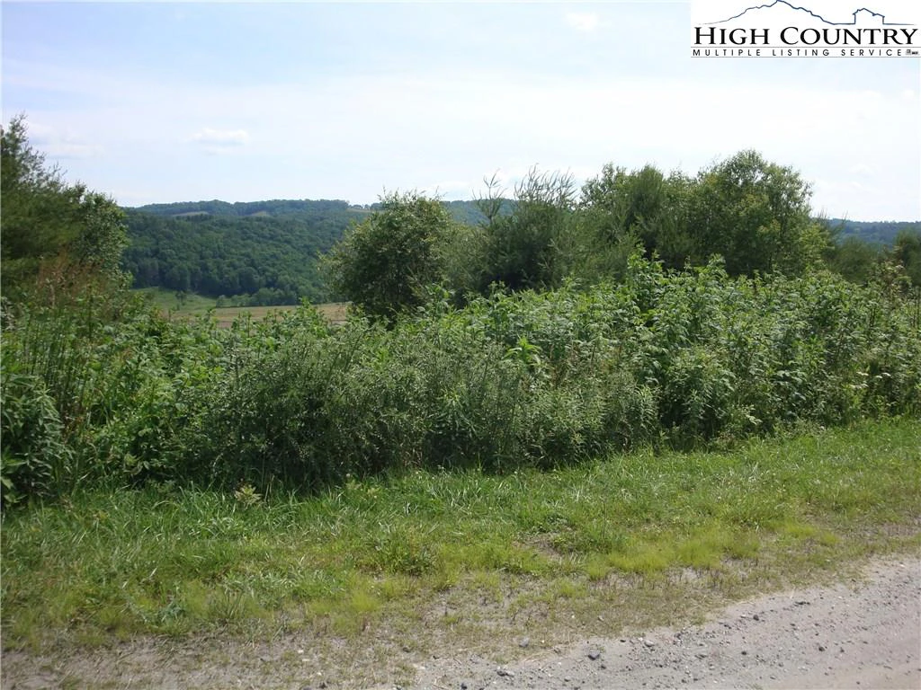 Image number 7 for the current listing