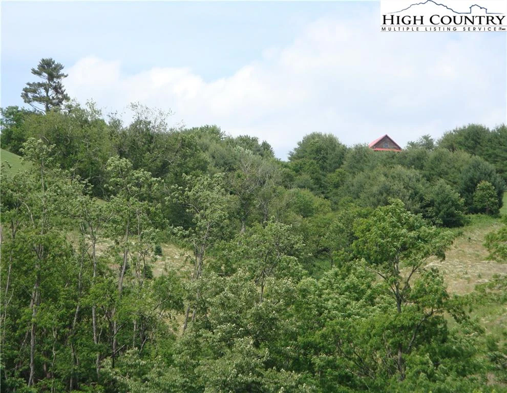Image number 9 for the current listing