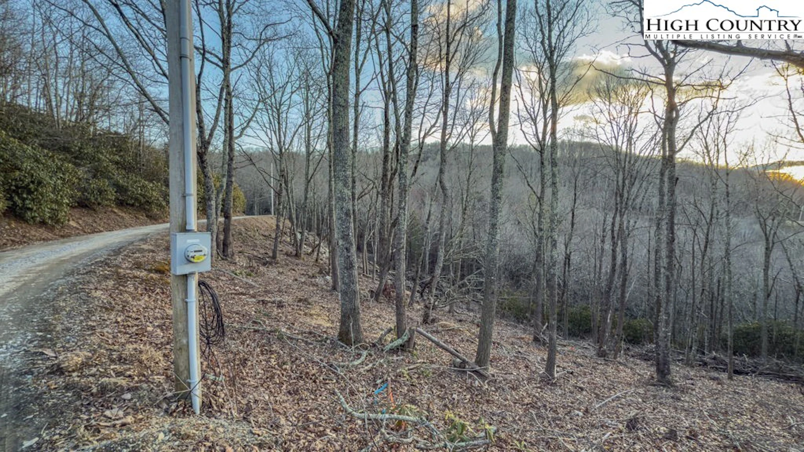 Image number 1 for the current listing