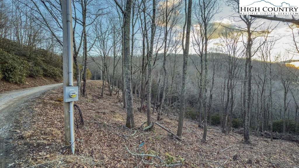 Image number 1 for the current listing