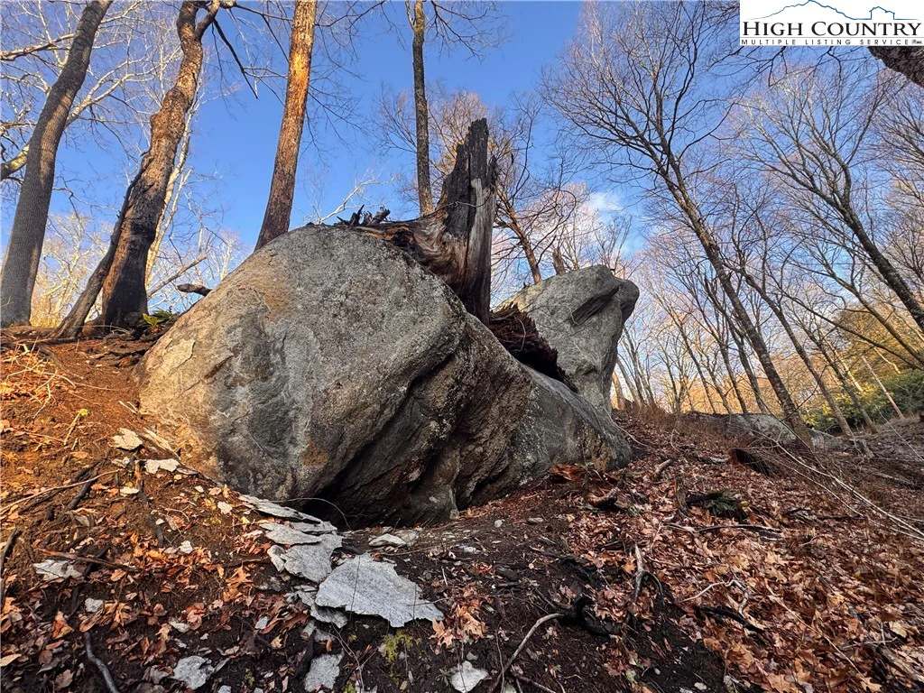 Image number 5 for the current listing