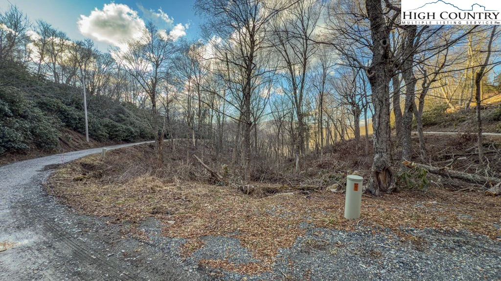 Image number 21 for the current listing
