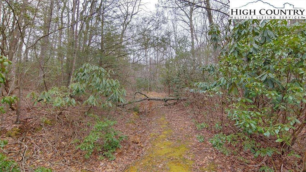 Image number 1 for the current listing