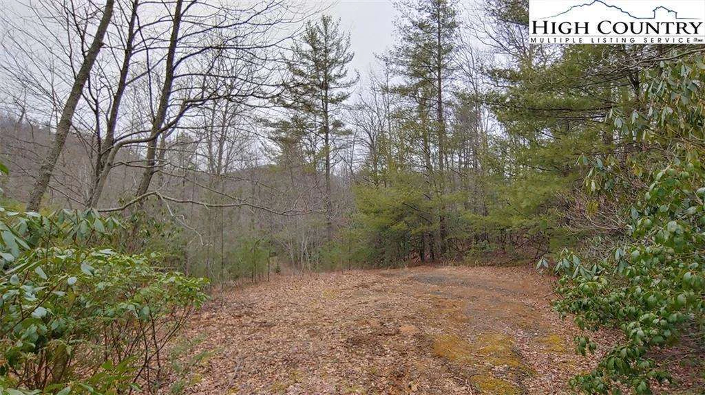 Image number 3 for the current listing