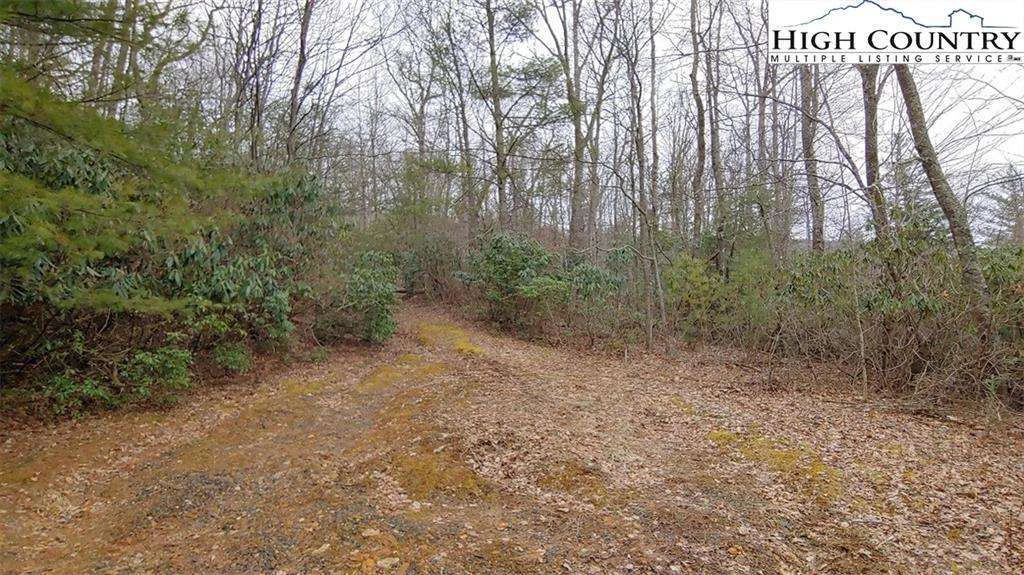Image number 4 for the current listing
