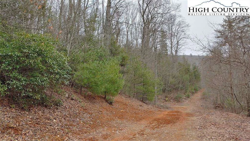 Image number 5 for the current listing