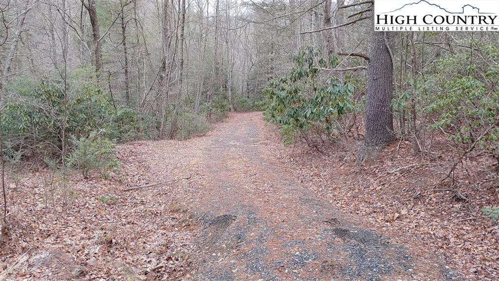 Image number 6 for the current listing