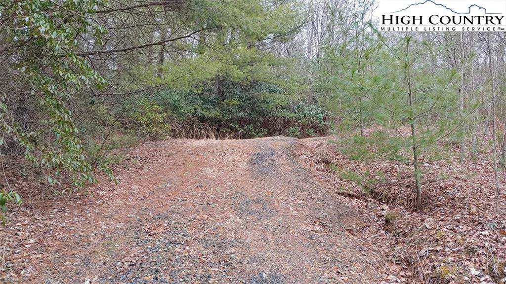 Image number 7 for the current listing