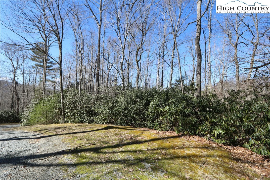 Image number 13 for the current listing