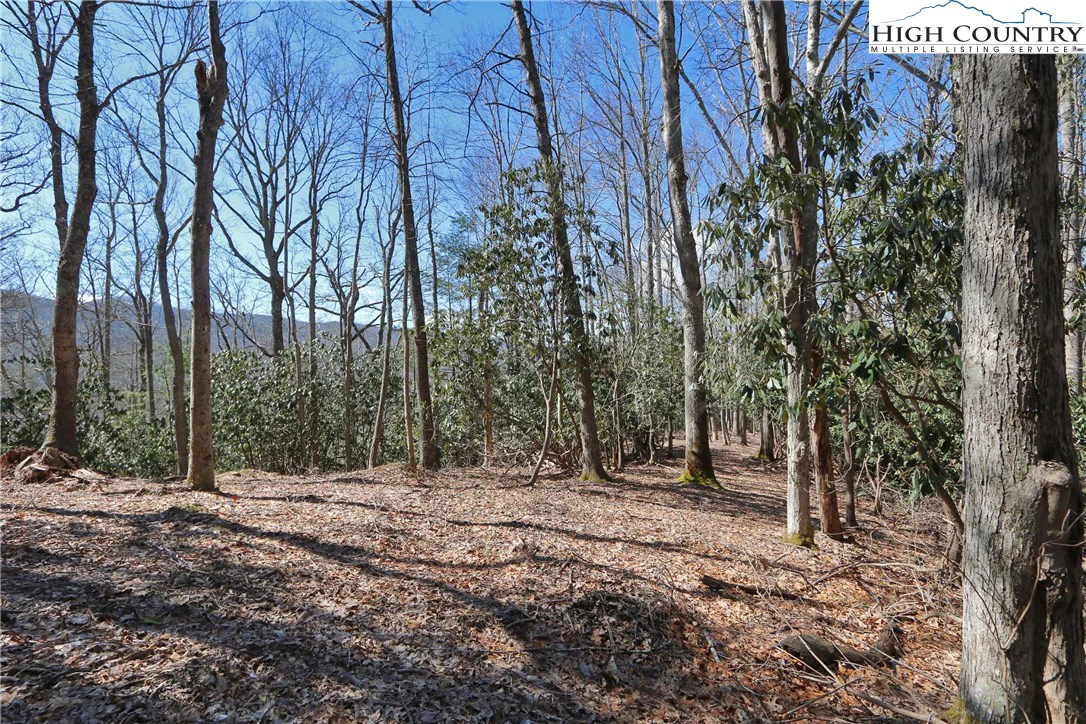 Image number 1 for the current listing