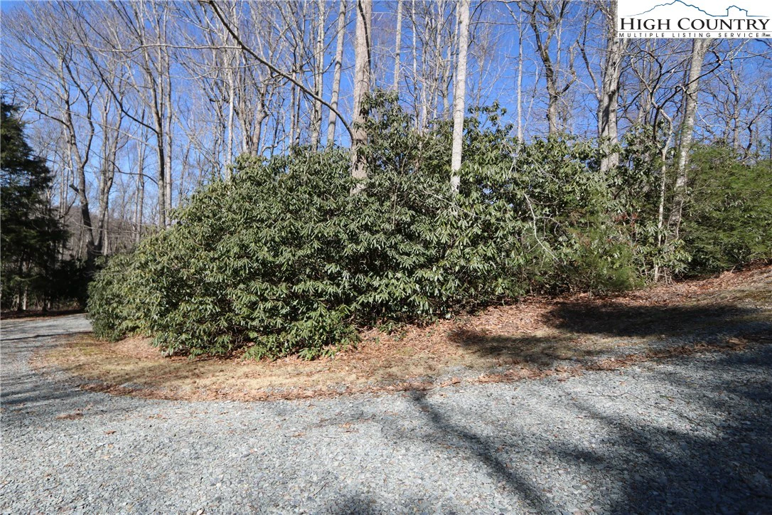 Image number 8 for the current listing