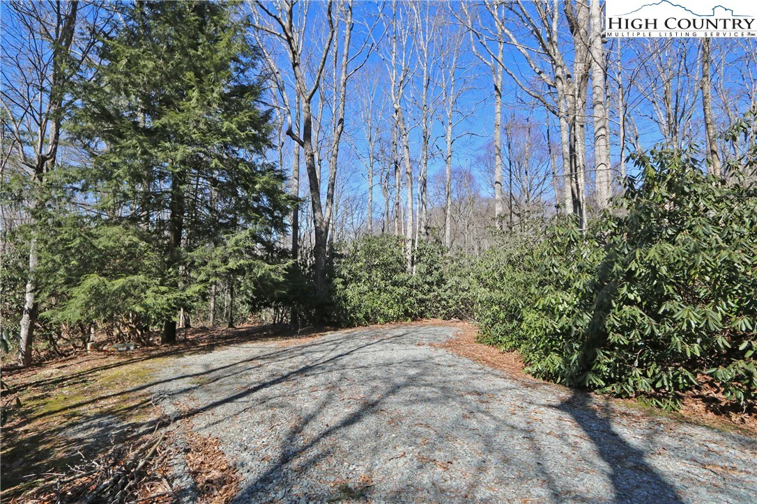 Image number 9 for the current listing
