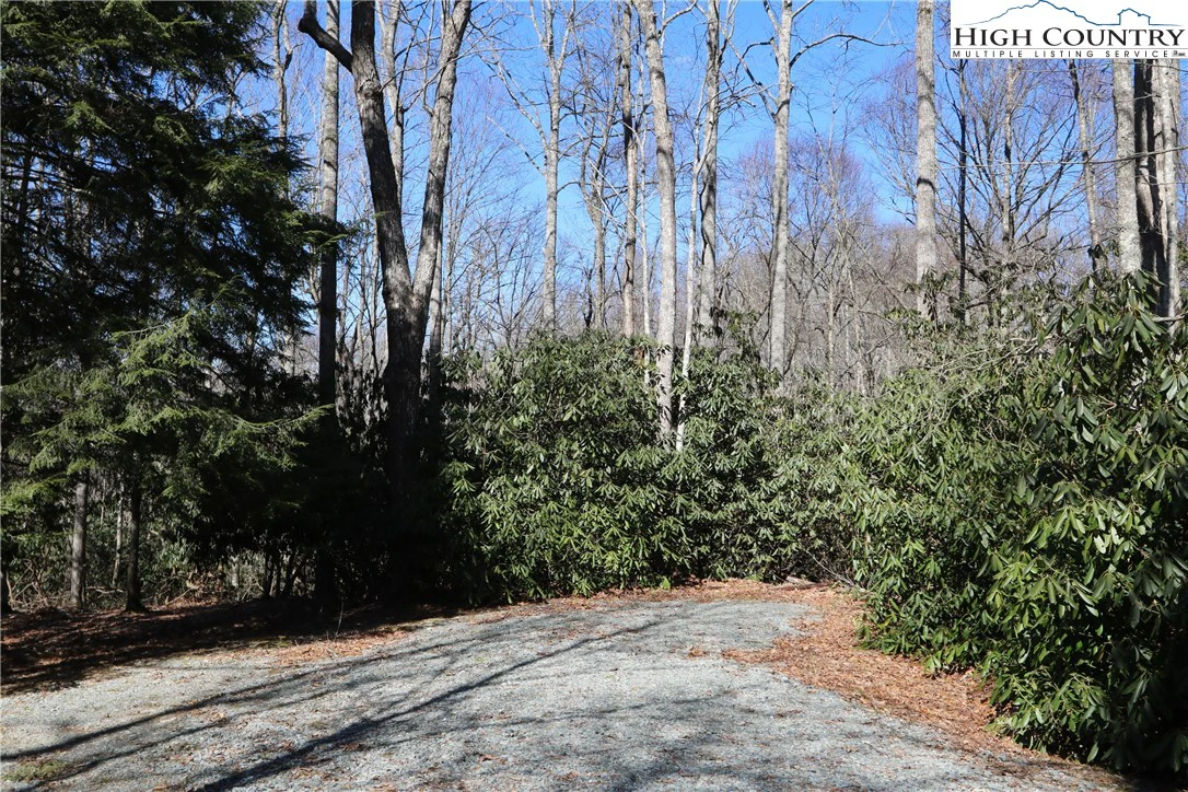 Image number 10 for the current listing