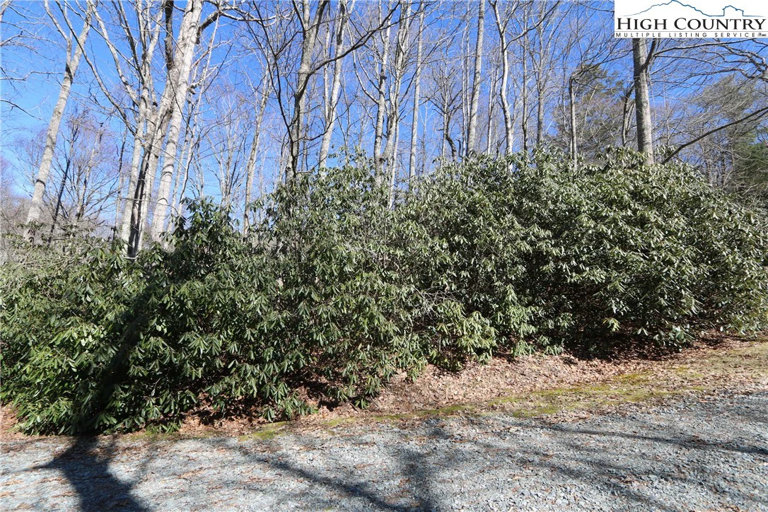 Image number 11 for the current listing