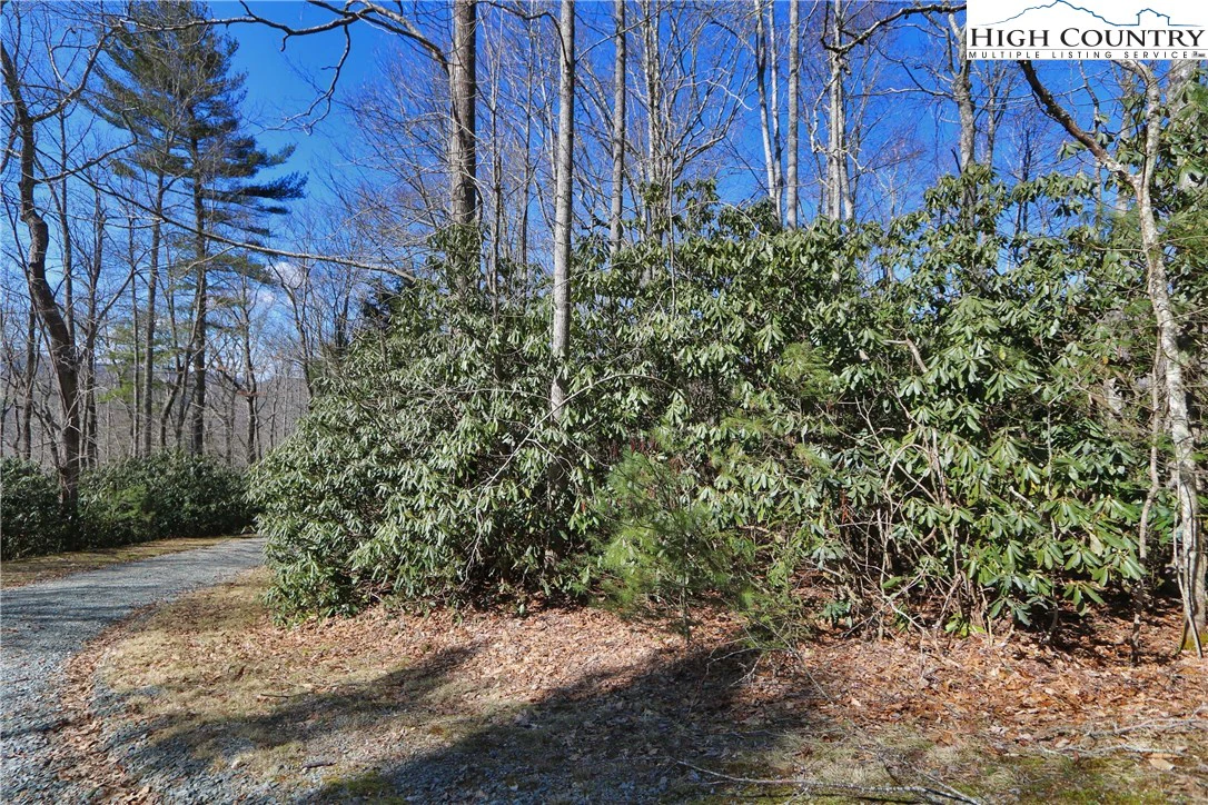Image number 12 for the current listing