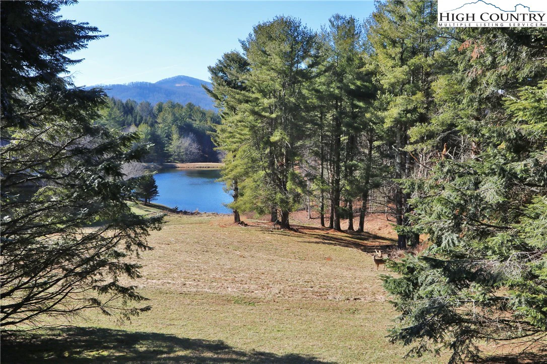 Image number 15 for the current listing