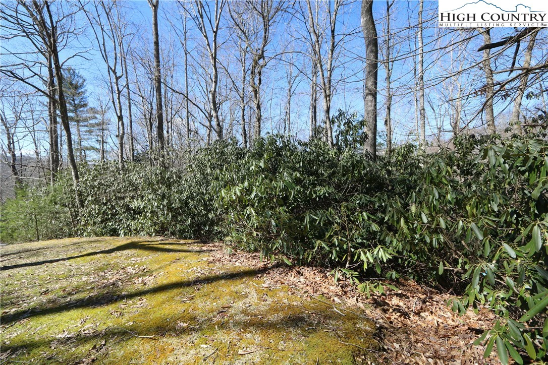 Image number 3 for the current listing