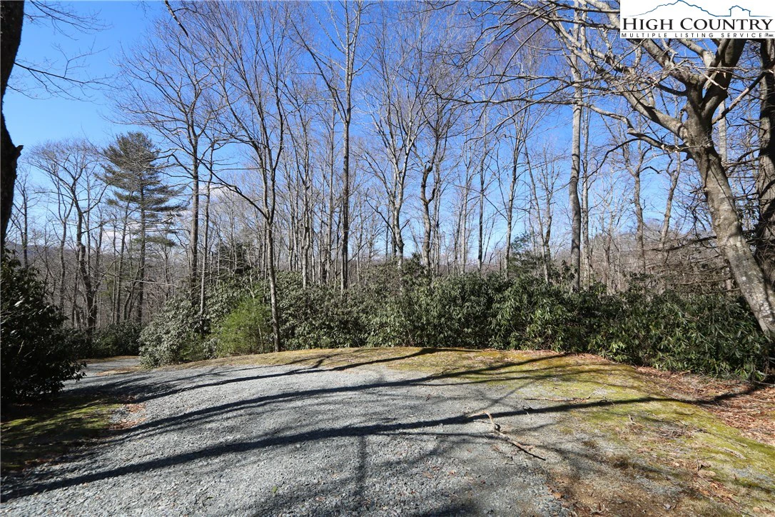 Image number 4 for the current listing
