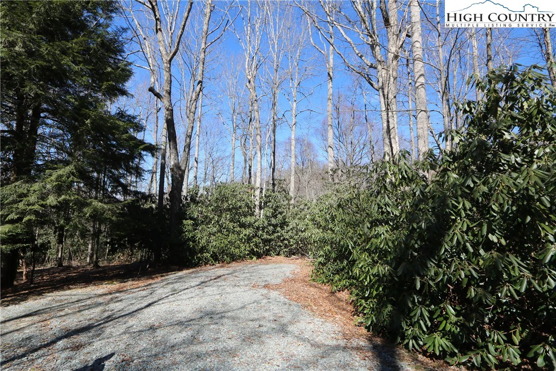 Image number 5 for the current listing
