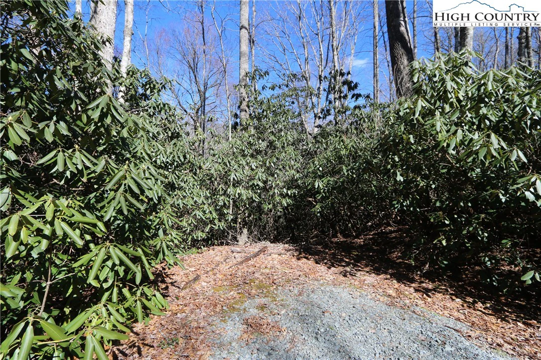 Image number 6 for the current listing