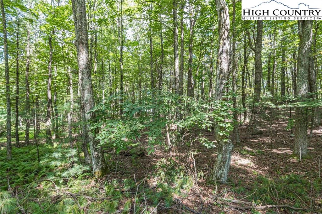 Image number 1 for the current listing