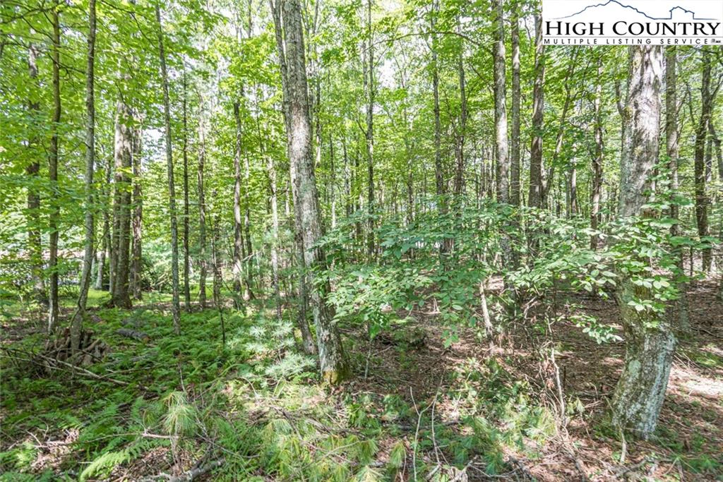Image number 3 for the current listing