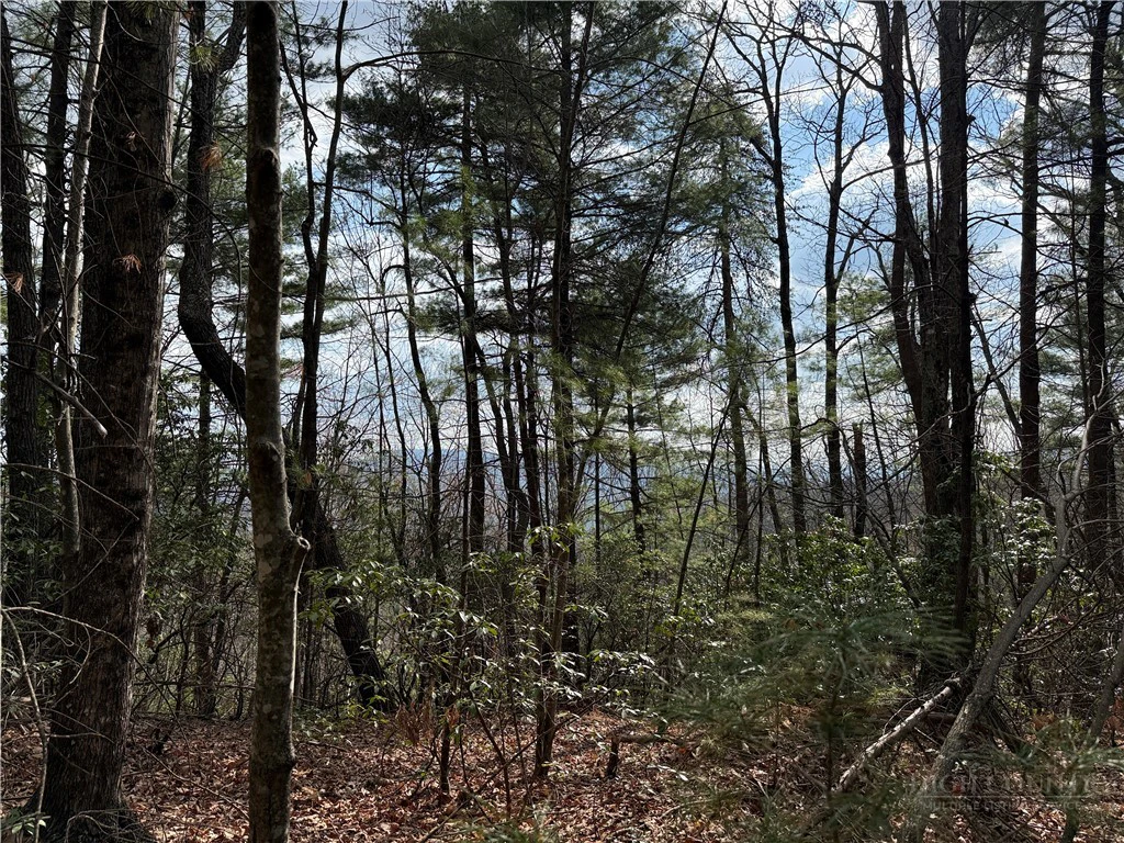 Image number 1 for the current listing