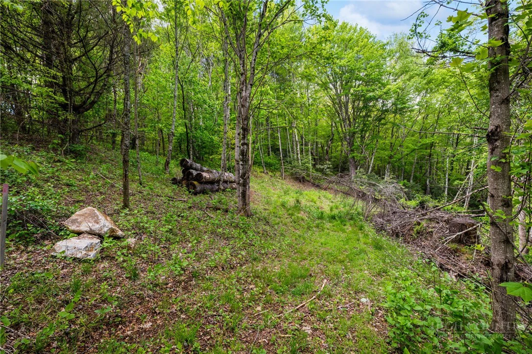 Image number 1 for the current listing