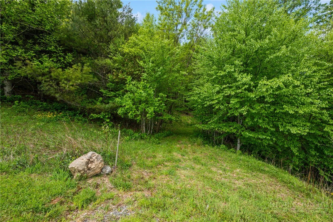 Image number 2 for the current listing
