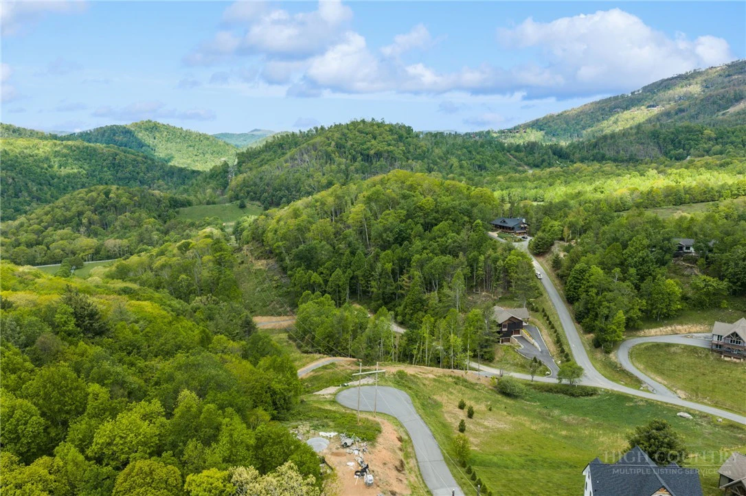 Image number 4 for the current listing
