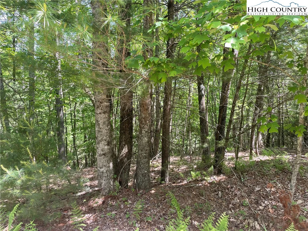 Image number 3 for the current listing