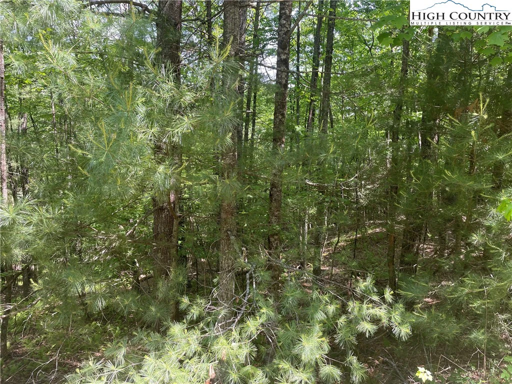 Image number 5 for the current listing
