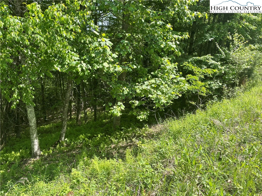 Image number 6 for the current listing