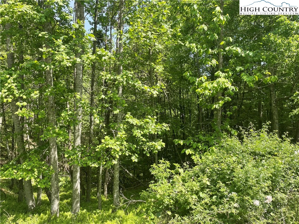Image number 7 for the current listing